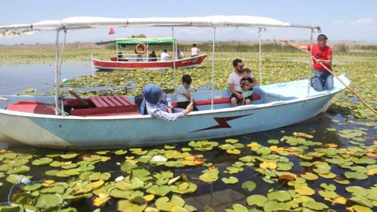 Le jardin de fleurs de lotus du parc national de Konya fascine ses visiteurs