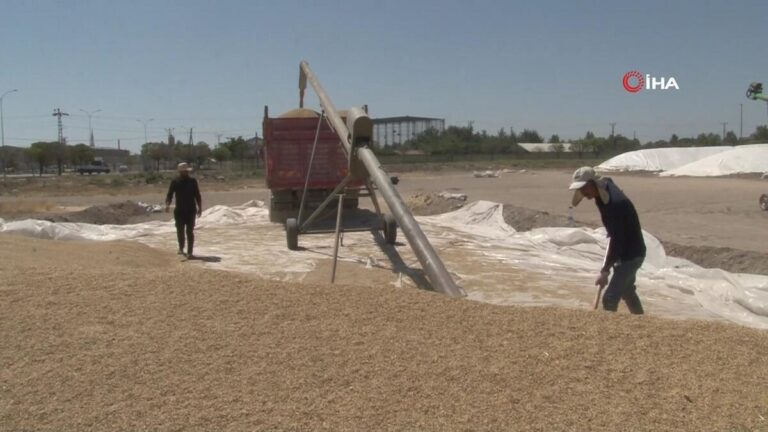 Saison des récoltes fertiles dans la plaine de Konya