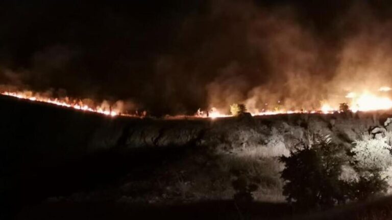 Un incendie de forêt à Malatya a été maîtrisé en 3 heures