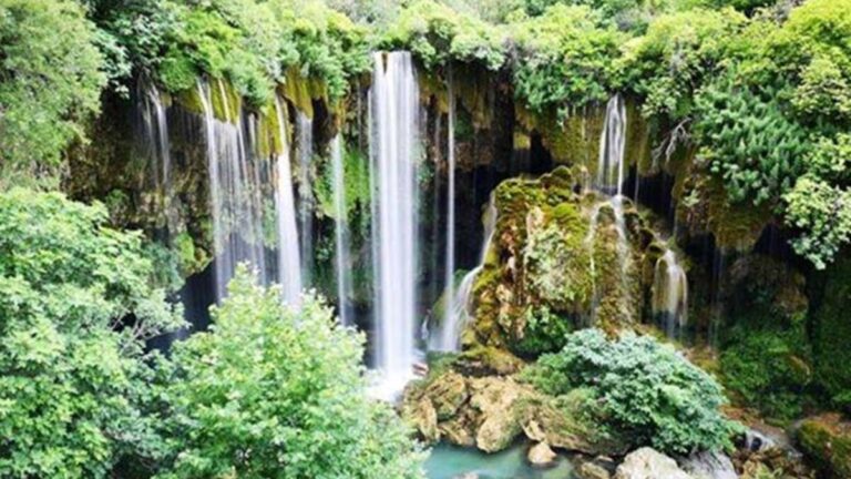 Patrimoine naturel intact !  Les visiteurs sont émerveillés