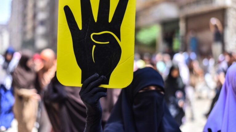 L&rsquo;avenir des Frères musulmans