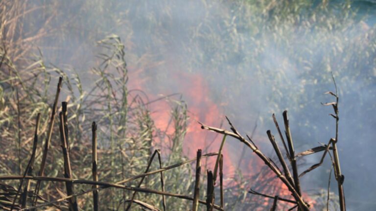 Panique d&rsquo;incendie sur les falaises d&rsquo;Antalya
