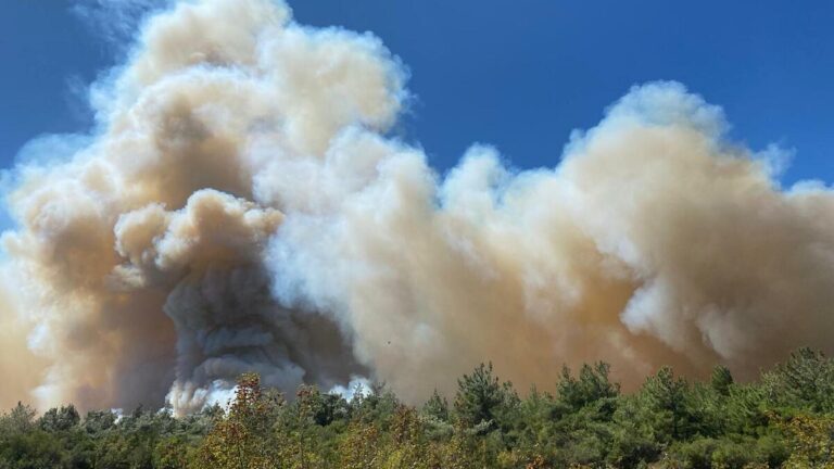 DERNIÈRES NOUVELLES : Incendie de forêt à Manisa