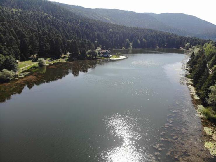 Ils ont passé le dernier jour des vacances d'été en contact avec la nature