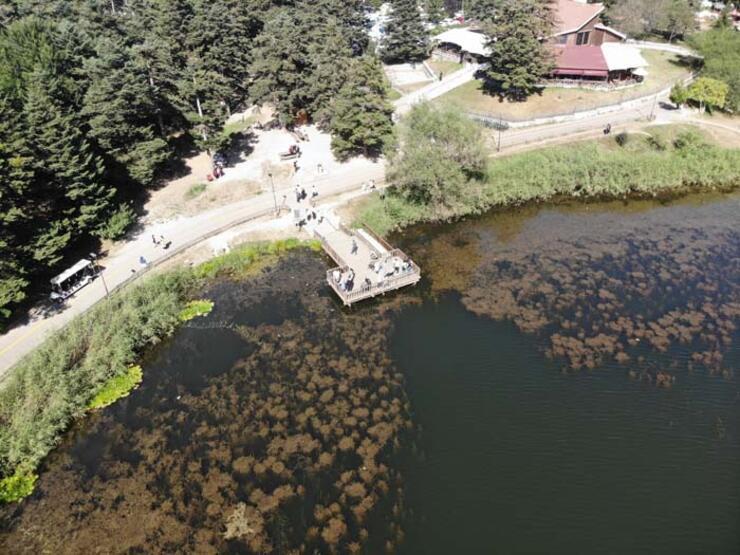 Ils ont passé le dernier jour des vacances d'été en contact avec la nature