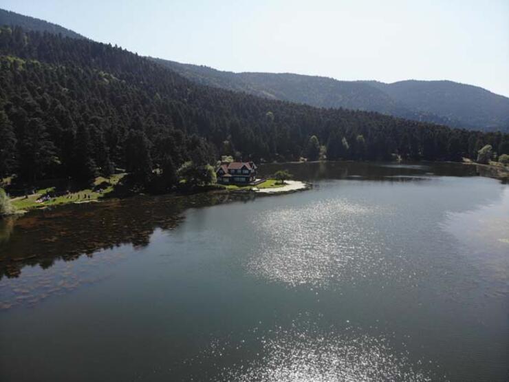Ils ont passé le dernier jour des vacances d'été en contact avec la nature