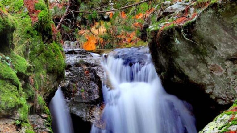 Certains admirent sa voix, d’autres son apparence.