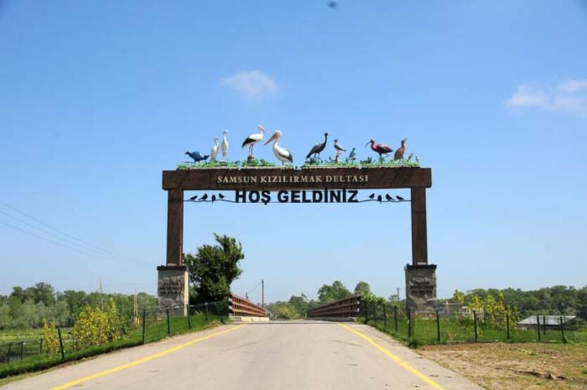 50 000 personnes ont visité la réserve ornithologique pendant la période estivale