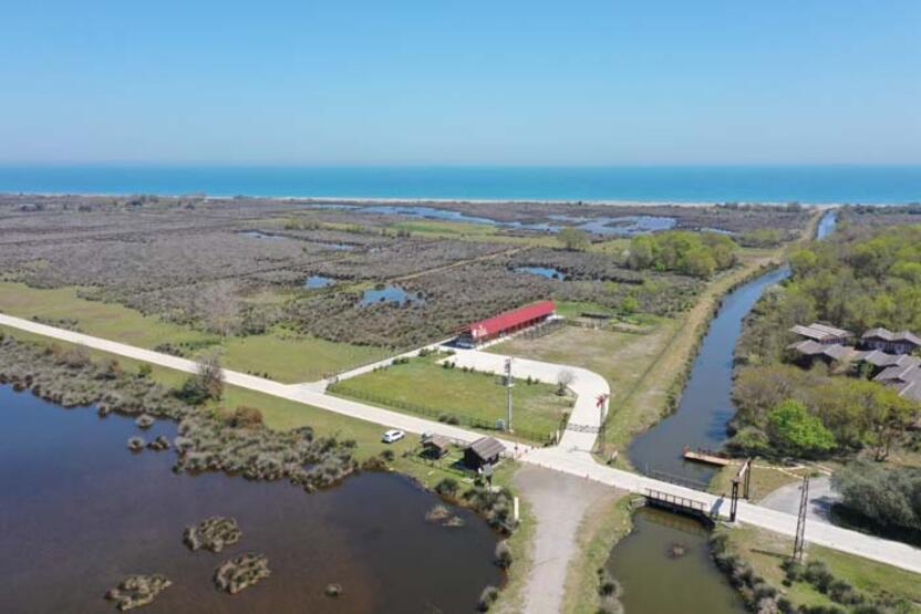 50 000 personnes ont visité la réserve ornithologique pendant la période estivale