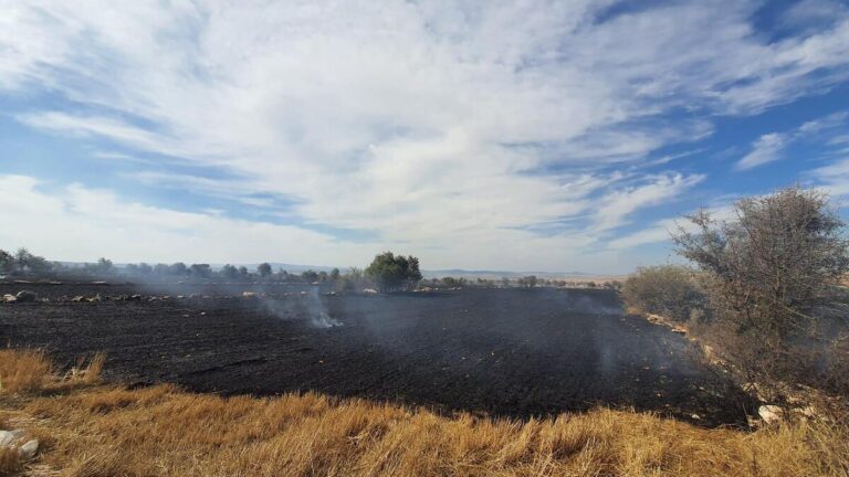 Le feu de chaume qui s&rsquo;est propagé à la forêt d&rsquo;Eskişehir a été éteint avant de s&rsquo;étendre