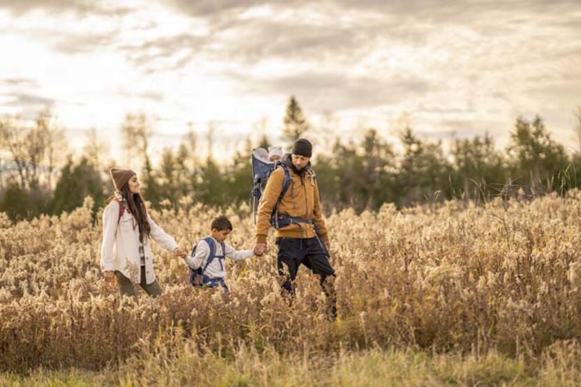 Un automne complètement différent avec vos enfants !  Les meilleures activités en famille pour des souvenirs inoubliables...