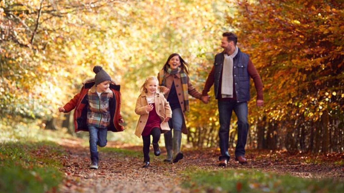 Un automne complètement différent avec vos enfants !  Les meilleures activités en famille pour des souvenirs inoubliables...