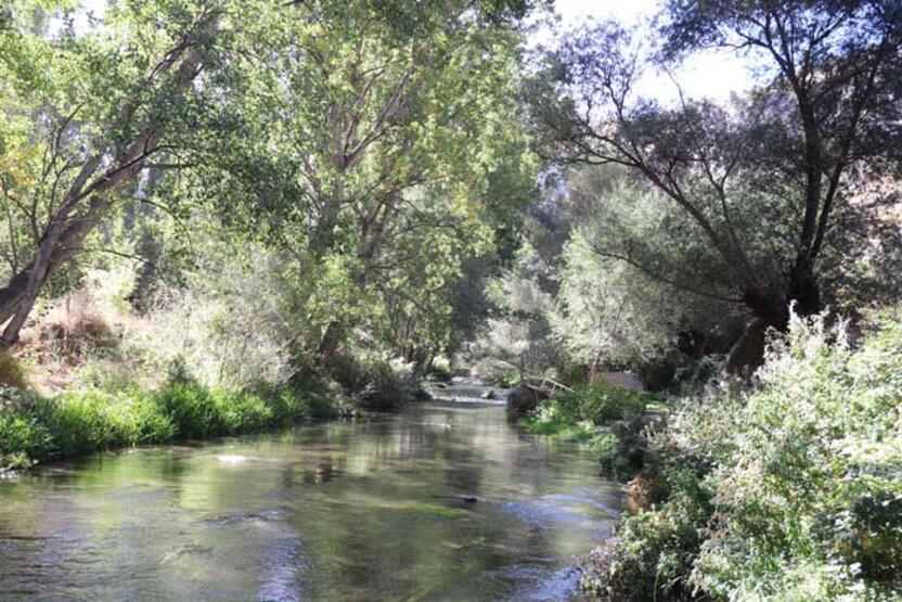 La vallée d'Ihlara abrite des centaines de plantes et de créatures