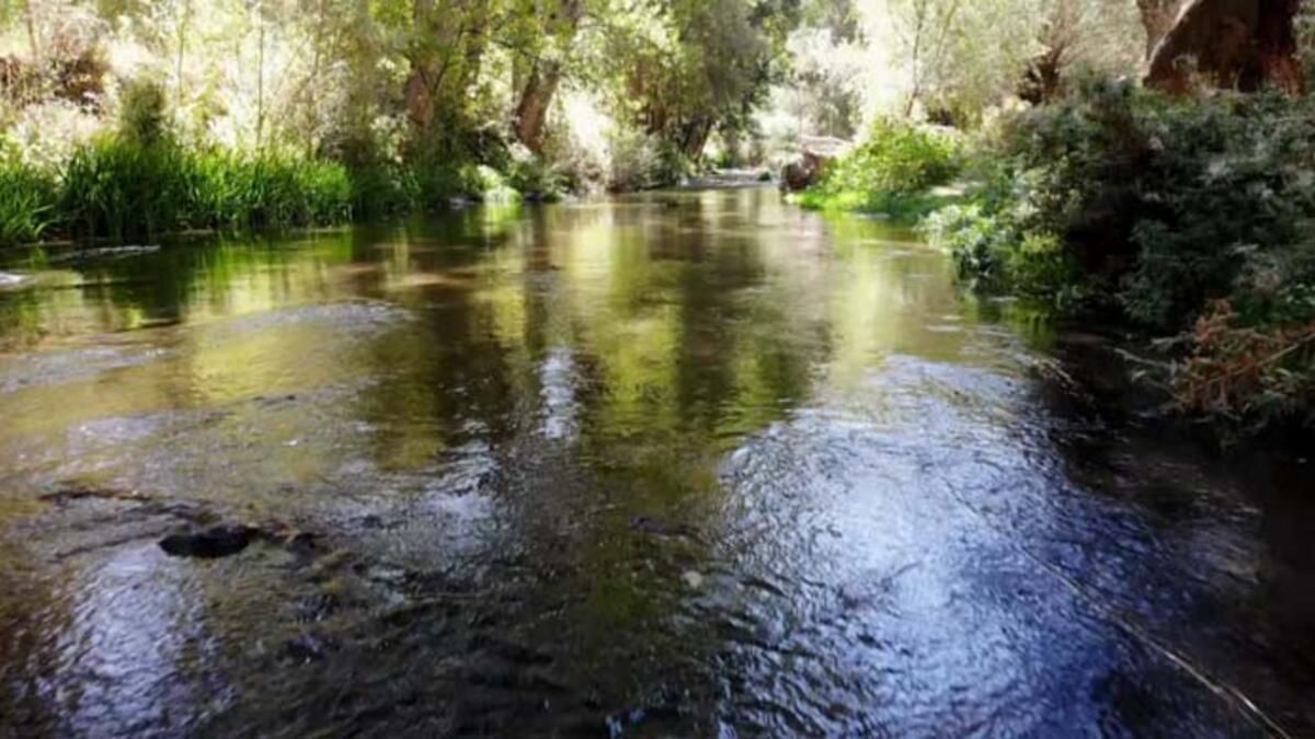La vallée d'Ihlara abrite des centaines de plantes et de créatures