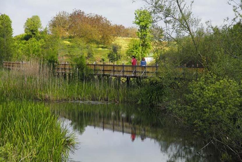 Afflux de visiteurs à la merveille naturelle Longoza