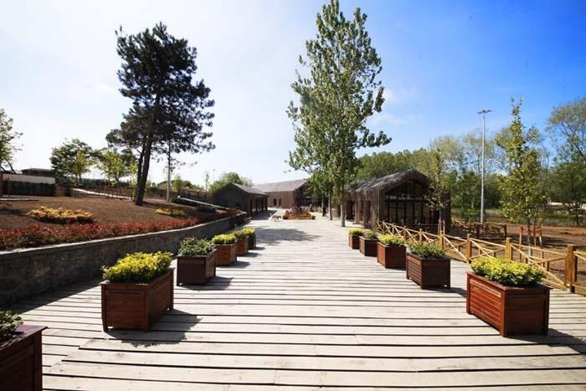 Afflux de visiteurs à la merveille naturelle Longoza