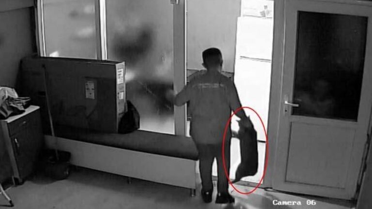 L&rsquo;apprenti sans scrupules qui a donné des coups de pied et frappé le chat est libéré