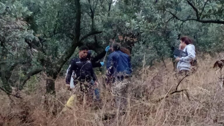 Il était recherché depuis 45 jours !  Son corps sans vie a été retrouvé dans l&rsquo;oliveraie