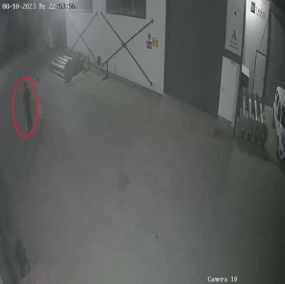 Allégations qui ont donné lieu à une enquête sur le décès de Batuhan, 19 ans