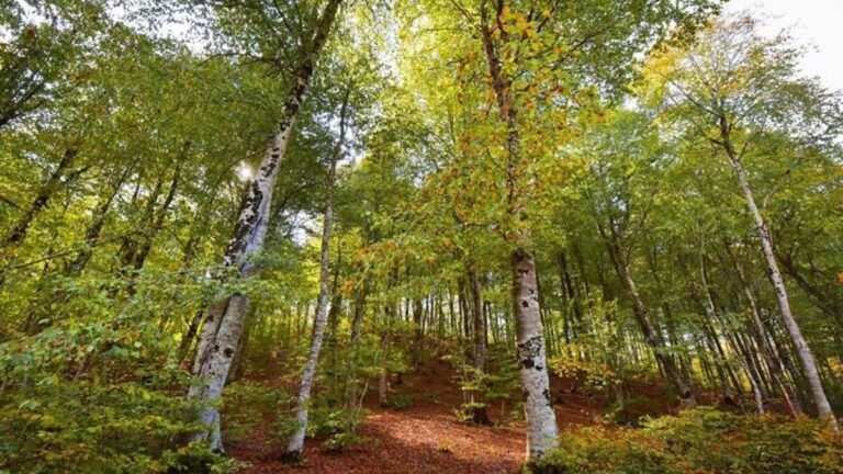 Le plateau de Dumanlı est devenu indispensable pour les photographes