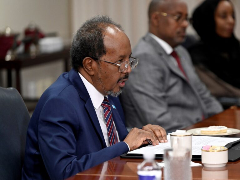 Le fils du président somalien fuit la Turquie après un accident mortel à Istanbul : rapports