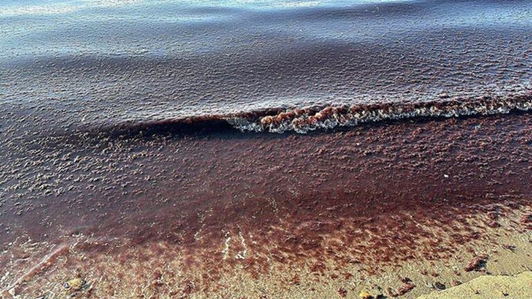 Encore la même image !  La raison est claire