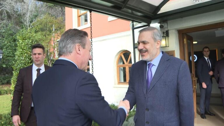 Hakan Fidan a rencontré son homologue britannique