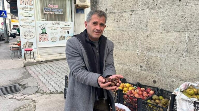 Châtaigne Erfelek vers la fin : 350 lires le kilo