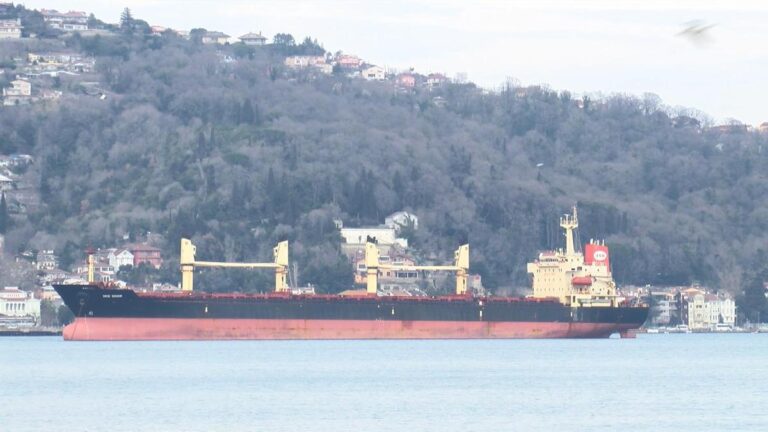 Un pilote a perdu la vie en tombant à la mer dans le Bosphore