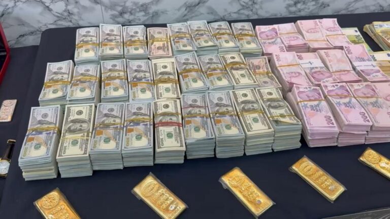 « Opération contre Escobar turc : des mesures ont été prises contre ses actifs d&rsquo;une valeur de 20 milliards de lires »