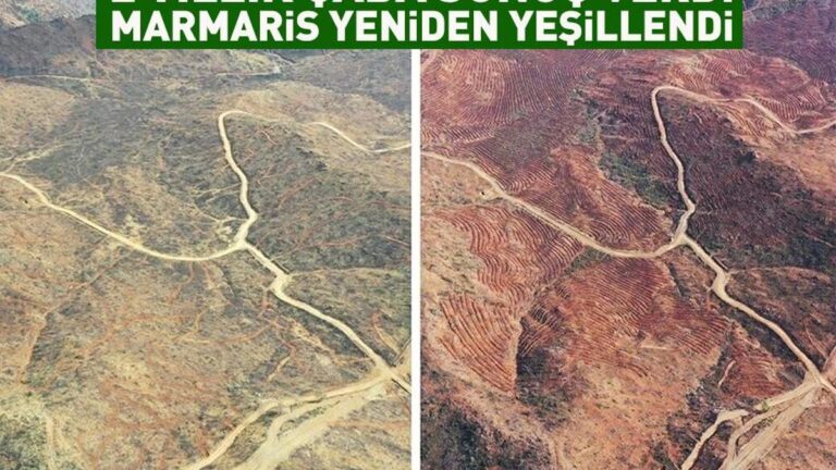 Une superficie de 4 mille 392 hectares a été réduite en cendres : 2 ans d&rsquo;efforts ont donné des résultats, Marmaris est redevenue verte !