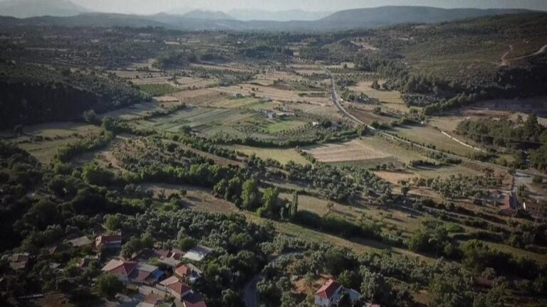 La décision d'expropriation de la zone forestière d'Akbelen a été abolie