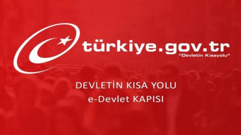 Comment se renseigner sur le rapport de naissance du gouvernement électronique ?