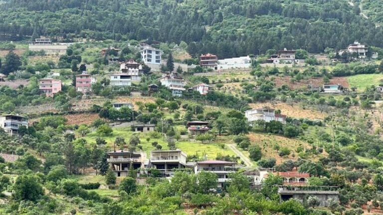 Les maisons vigneronnes, indispensables pour les habitants de Kahramanmaraş