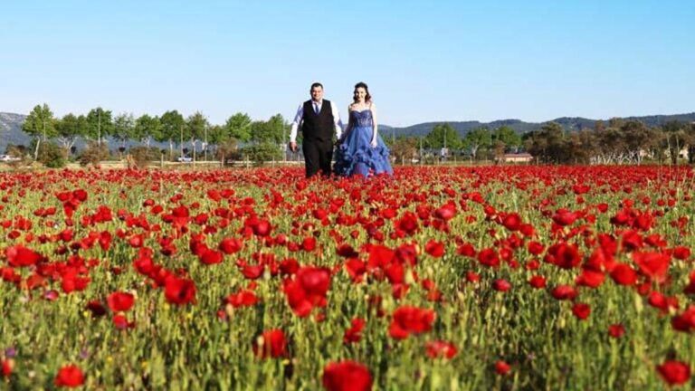 Les mariées ont afflué vers le champ « Poppy »