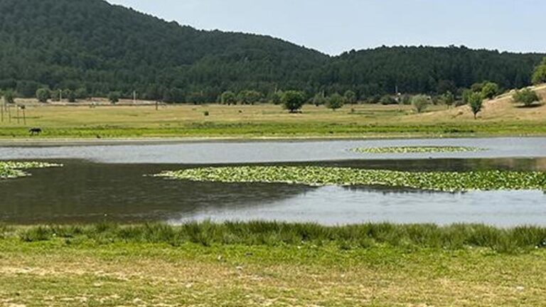 Le festival des nénuphars a commencé au lac Süleymanlı Yayla