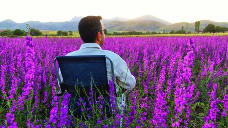 Aucune vue de ce type !  C'est ainsi qu'ils soulagent le stress de la ville… Les fleurs de juin à Kahramanmaraş étaient étonnantes