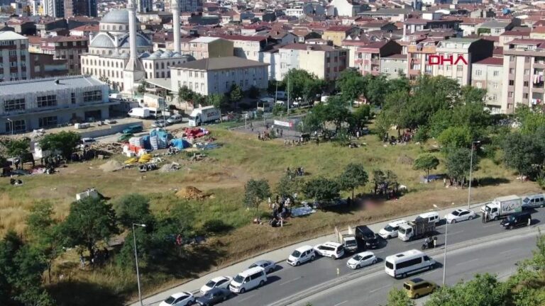 Les rues d'Istanbul transformées en zone d'abattage