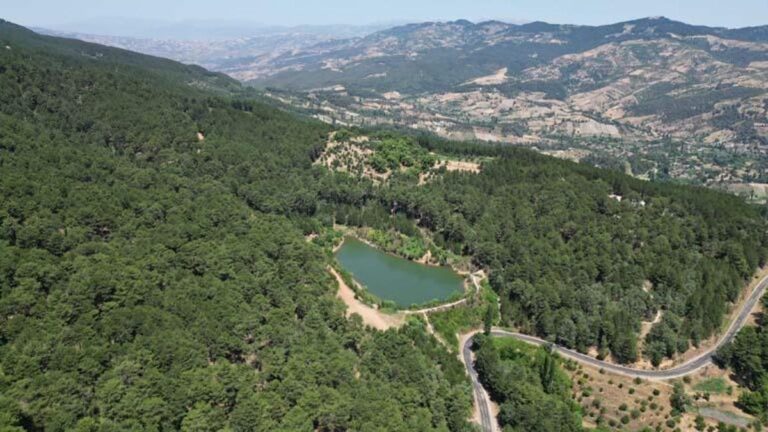 L'adresse des plateaux fertiles et de la paix : le plateau Uludağ Belenova d'Aydın enchante par sa beauté