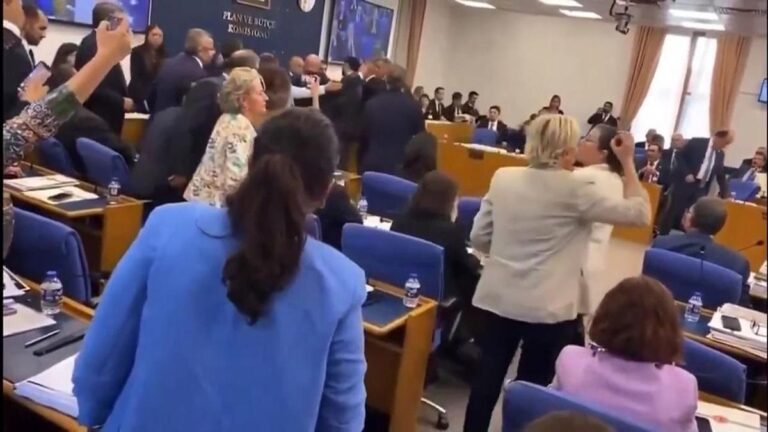 Actualités vidéo |  Attaquez le chaos des chiens au Parlement !