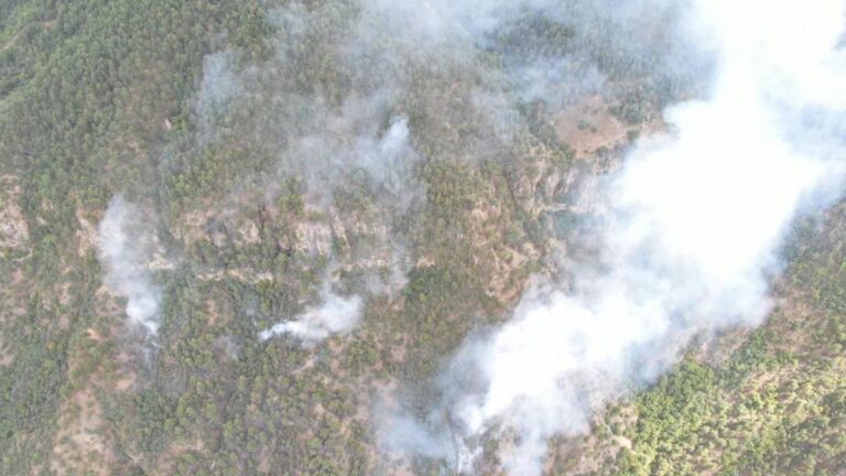 L'incendie qui s'est déclaré dans la maison s'est propagé à la forêt ; Une zone de 35 décares a été endommagée