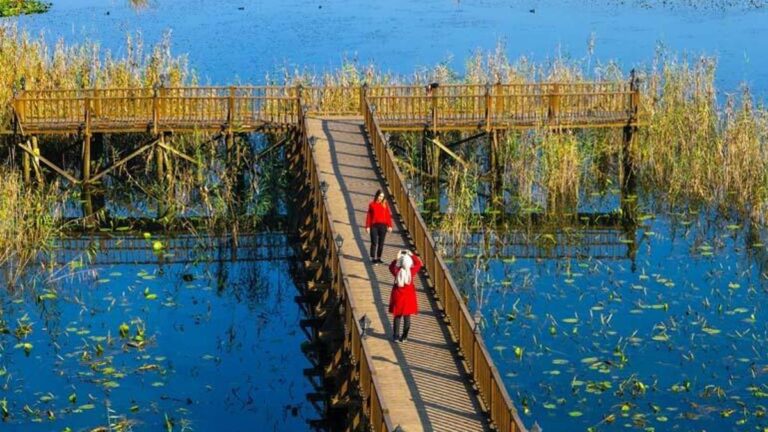 Le lac où les couleurs se rencontrent ! Celui qui voit est étonné