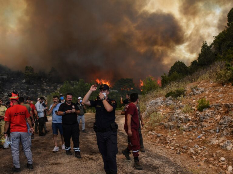 Des milliers de personnes contraintes d'évacuer en raison des incendies de forêt qui font rage dans l'ouest de la Turquie