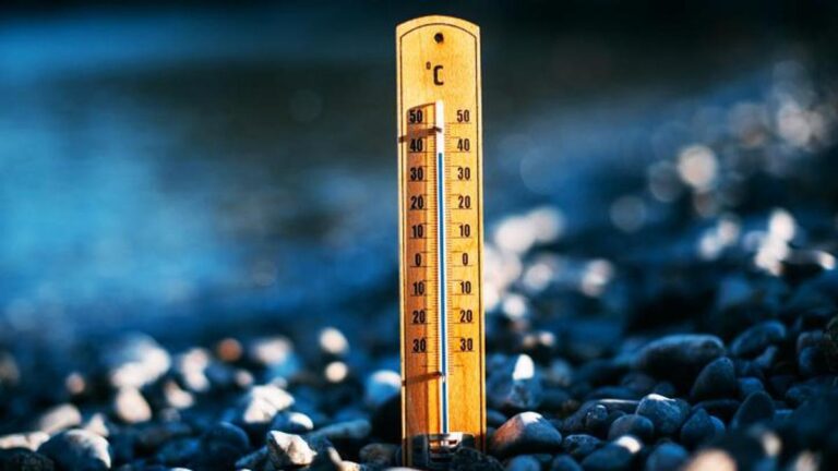 NOUVELLES VIDÉO | La température monte ! Les créatures sous-marines sont menacées…