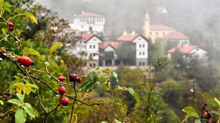 Beauté automnale brumeuse dans le district historique de Süleymaniye