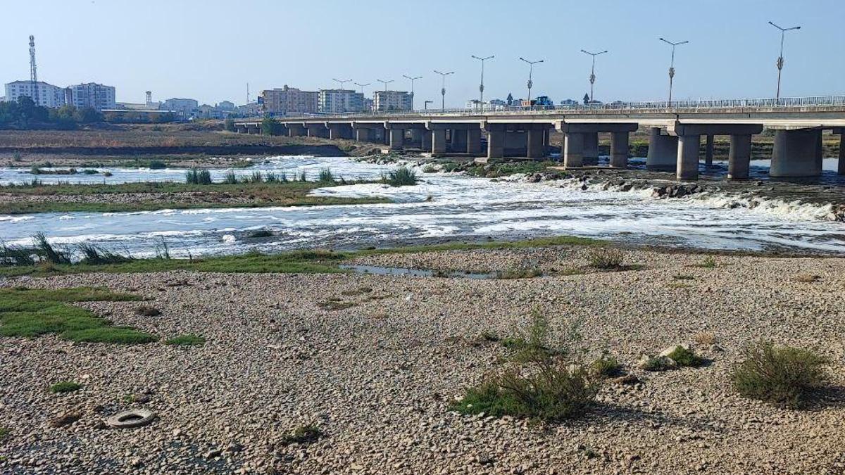 Critique de «Mousse blanche» dans le Tigre