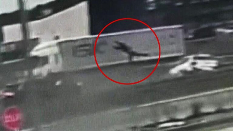 IL A VOLÉ TROIS MÈTRES DANS LES AIRS… Il voulait aider à l'accident, mais il est mort horriblement !
