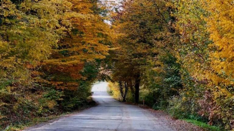 Samsun est éblouissant en automne ! Des images de cartes postales sont apparues