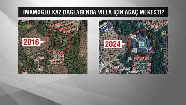 L'affirmation selon laquelle « un arbre a été abattu pour une villa dans les montagnes Kaz » ! Est-ce qu'Imamoğlu a coupé ces arbres ?