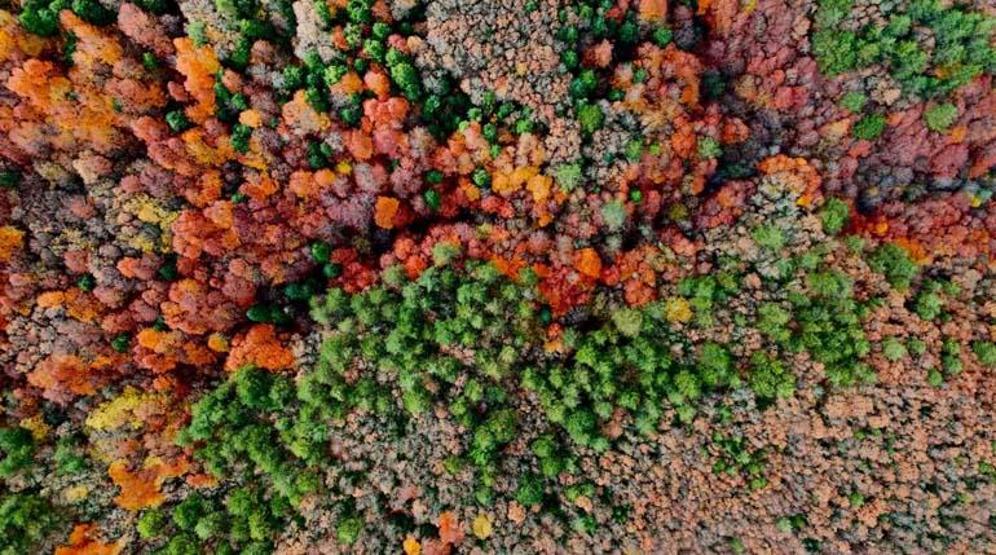 La vue automnale enchanteresse dans le parc naturel de Gölcük
